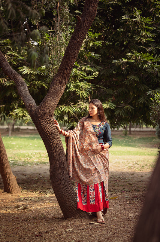 Multicolour Kani shawls by Noorzari