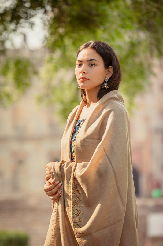 Beige shawl with minimal border