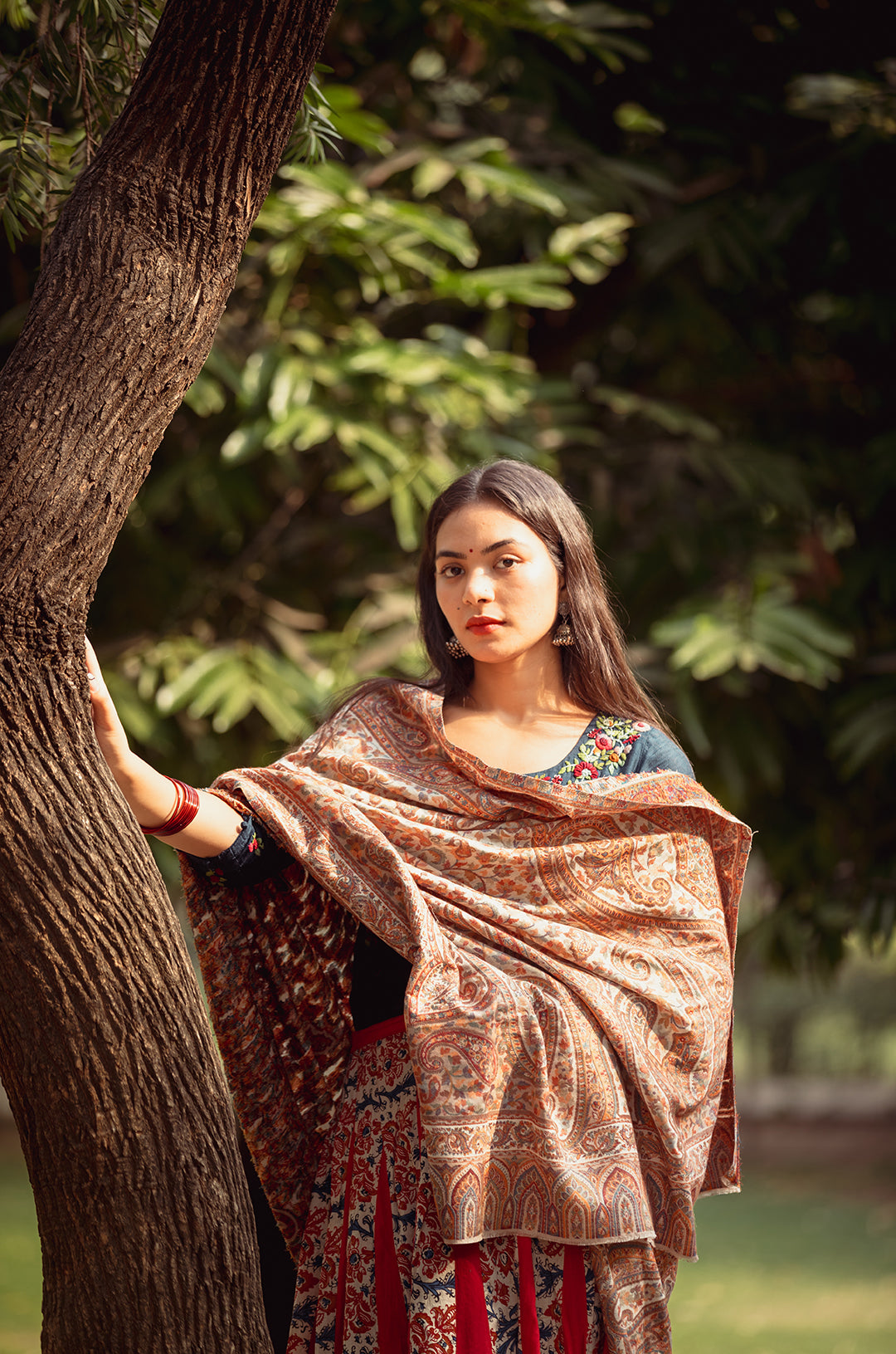 Multicolour Kani shawls