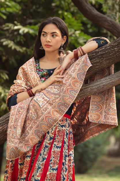 Multicolour Kani shawls